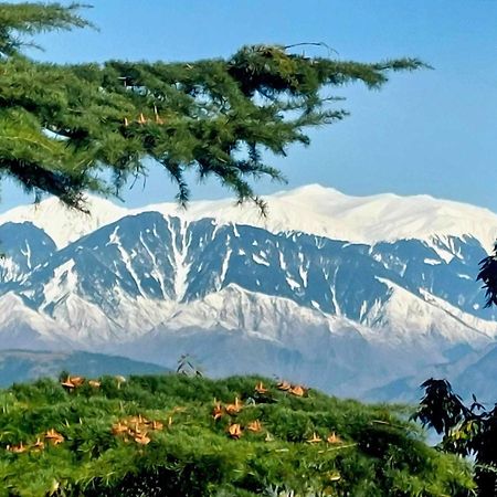 Aditya Homestay Далхаузі Екстер'єр фото