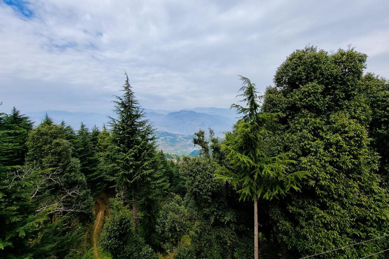 Aditya Homestay Далхаузі Екстер'єр фото