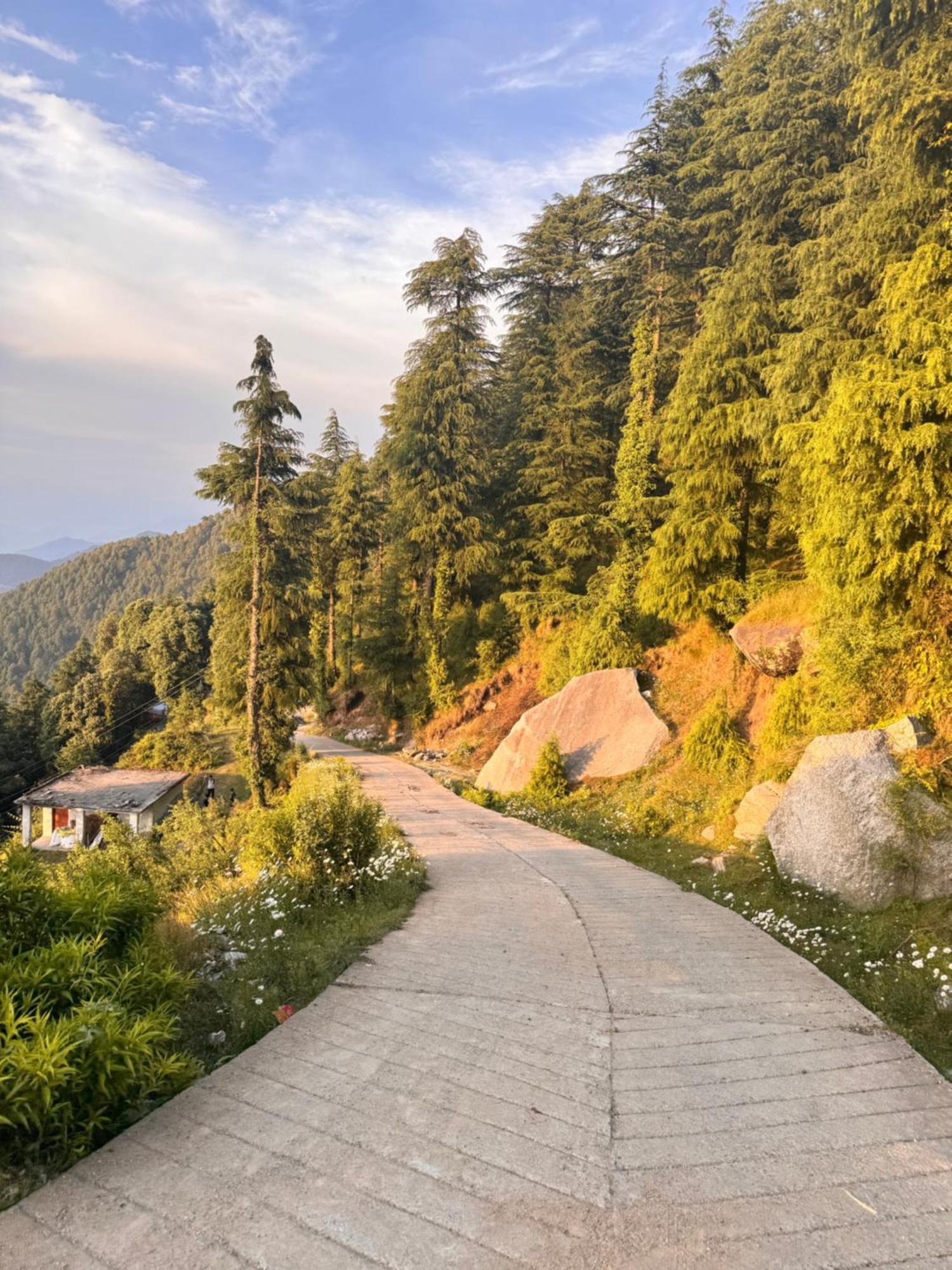 Aditya Homestay Далхаузі Екстер'єр фото