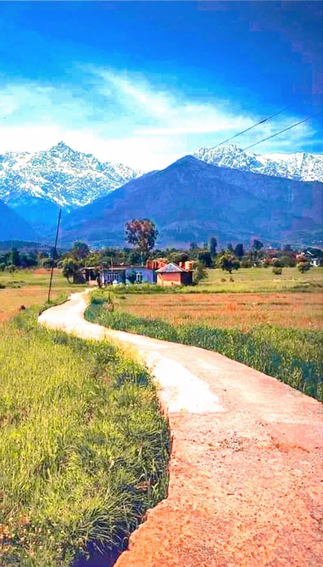 Aditya Homestay Далхаузі Екстер'єр фото