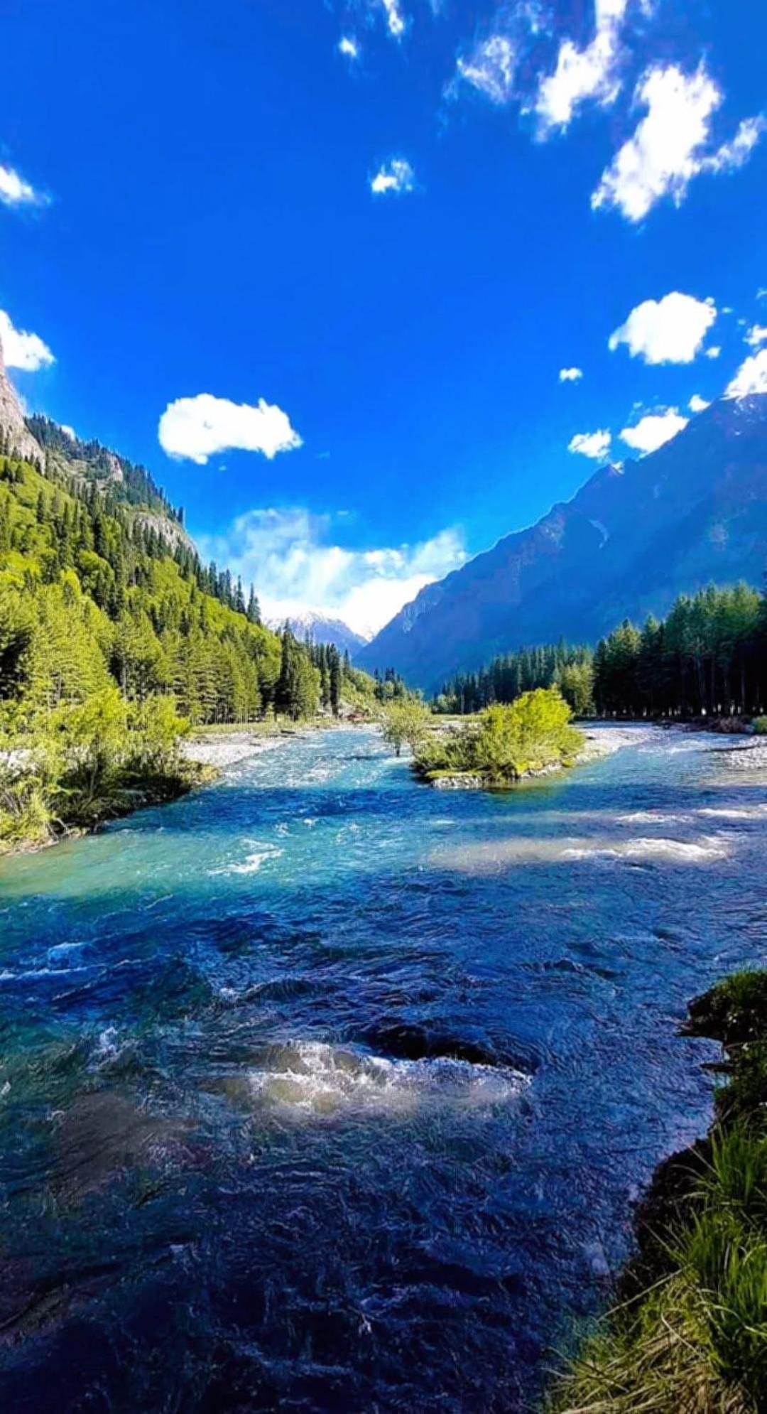 Aditya Homestay Далхаузі Екстер'єр фото