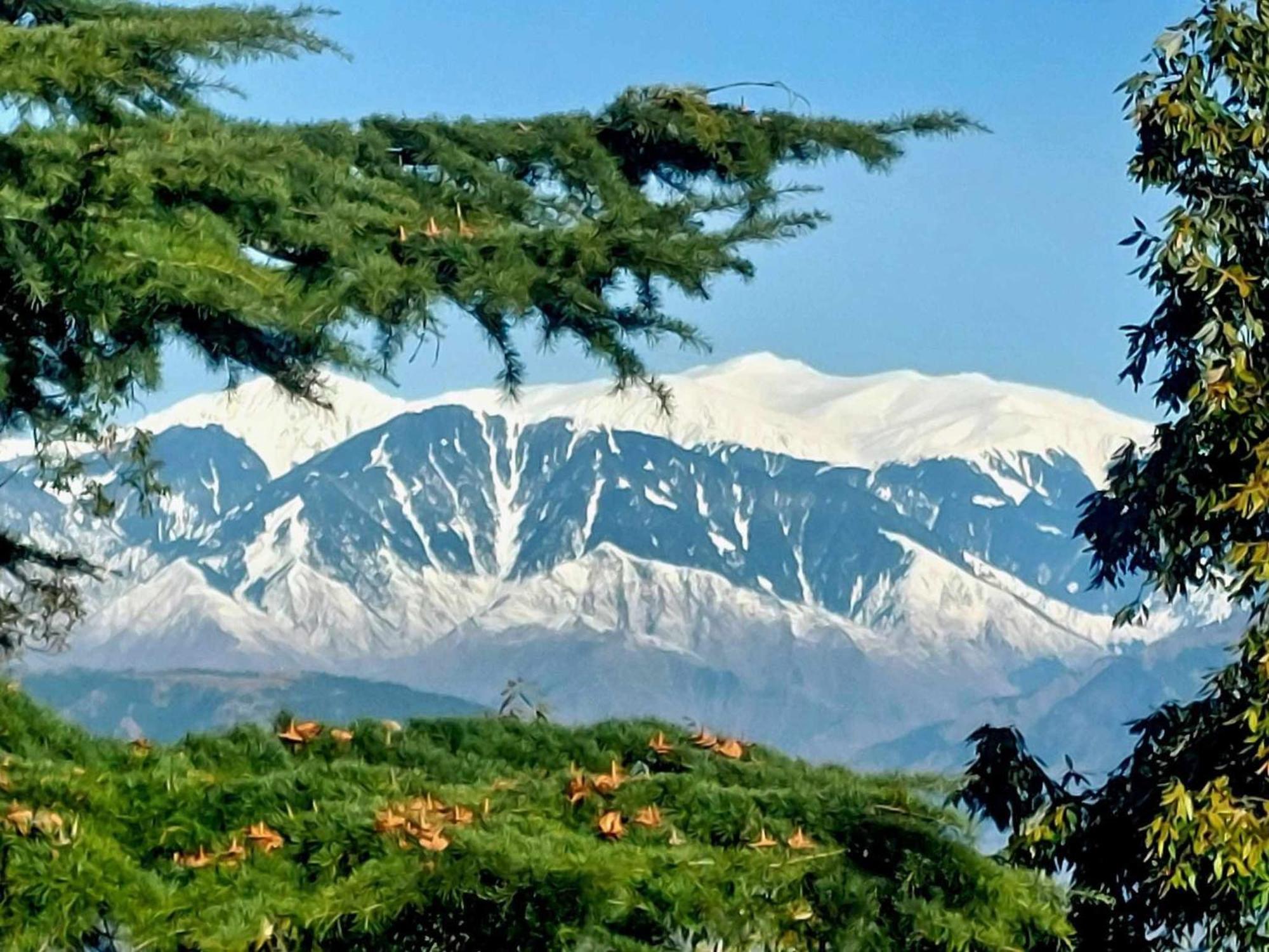 Aditya Homestay Далхаузі Екстер'єр фото