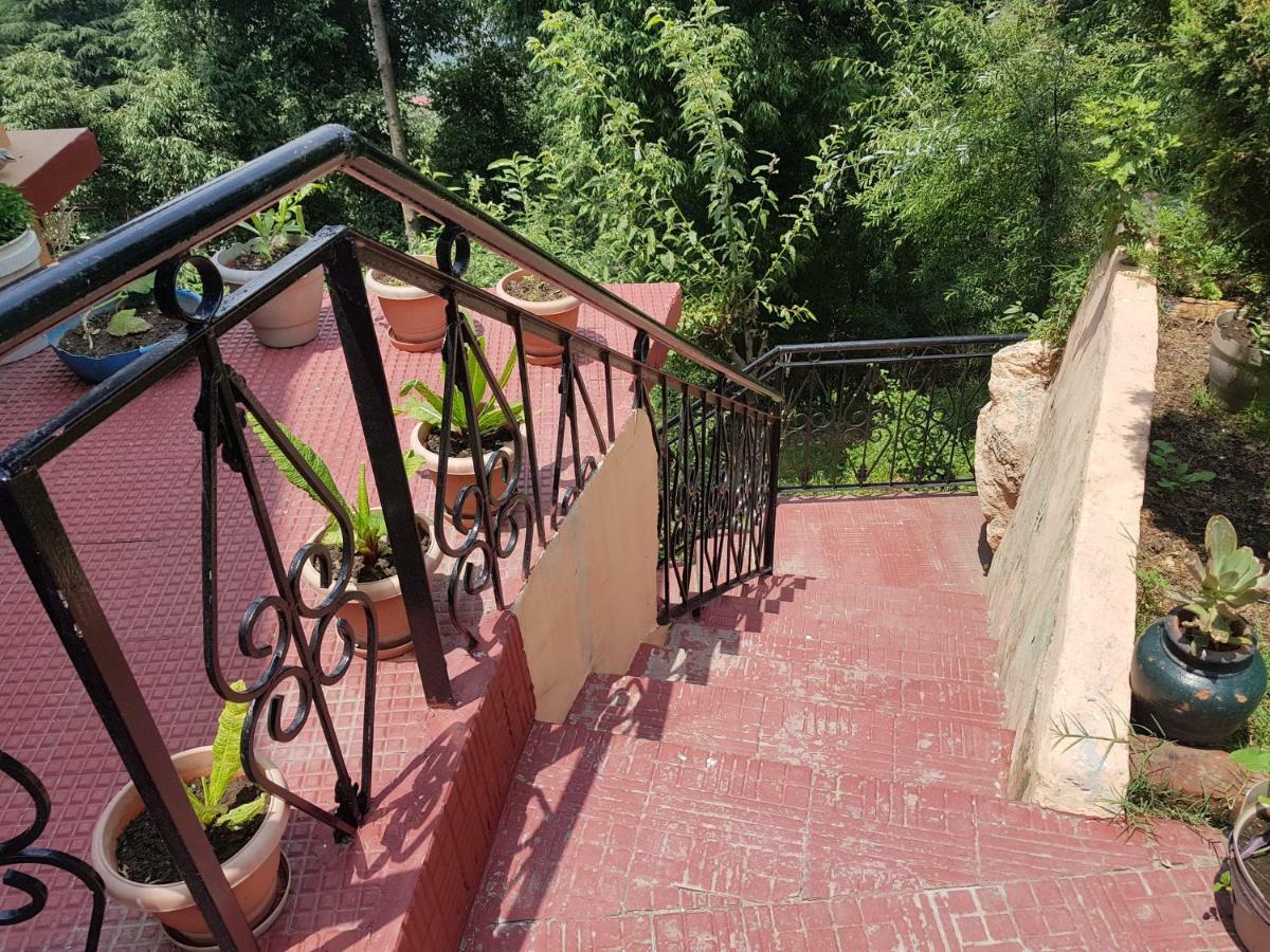 Aditya Homestay Далхаузі Екстер'єр фото