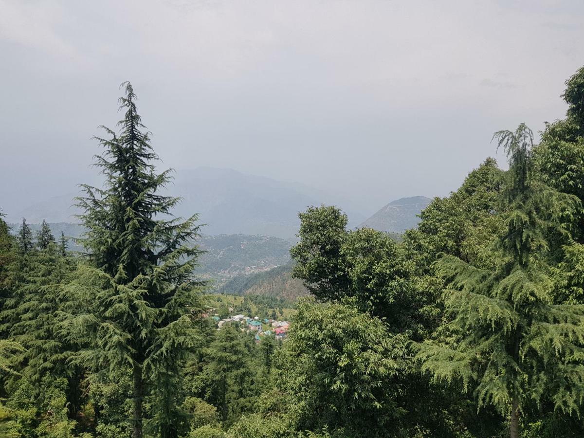 Aditya Homestay Далхаузі Екстер'єр фото